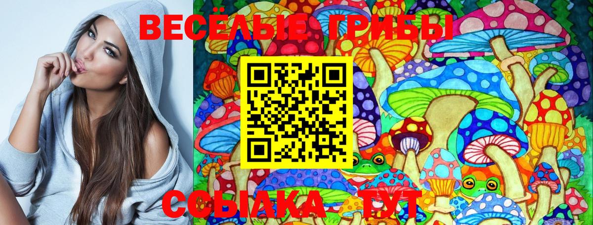 Псилоцибиновые грибы мицелий Нягань