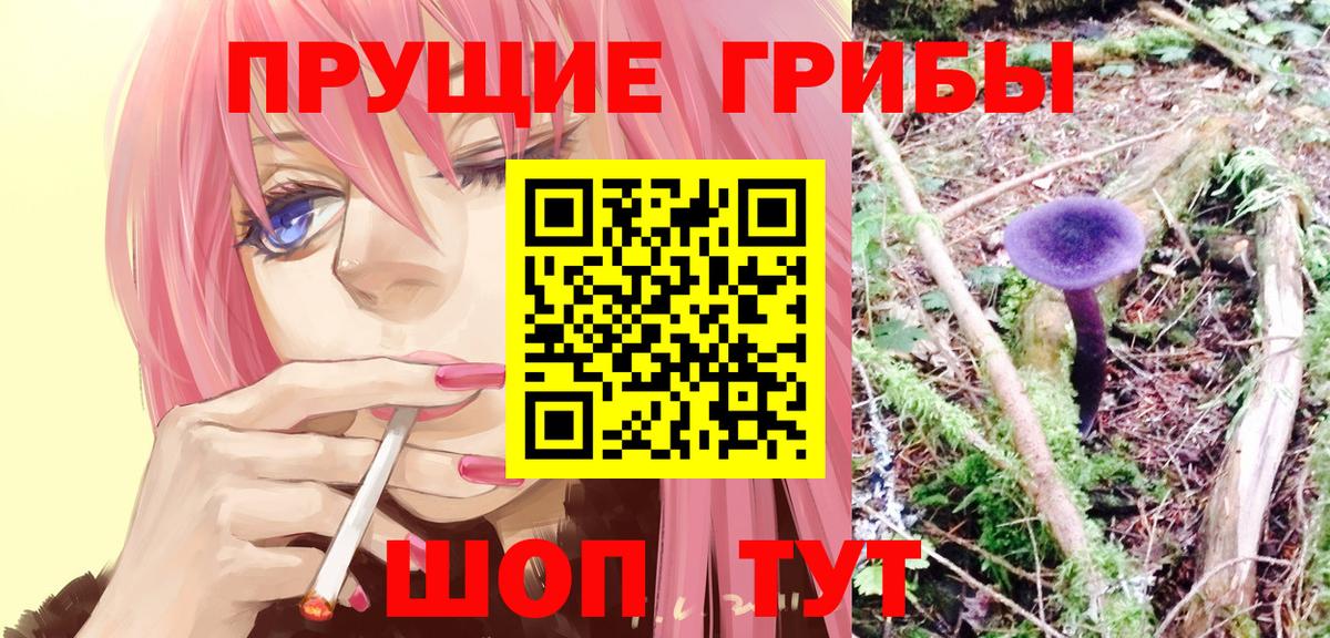 где найти наркотики  Псилоцибиновые грибы MAGIC MUSHROOMS  Вход с VPN  Нягань 